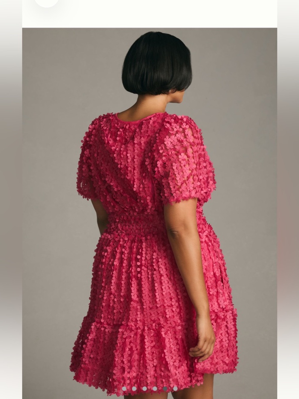 Anthropologie The Somerset Mini Dress: Floral Appliqué Edition Sz Large - Picture 5 of 16